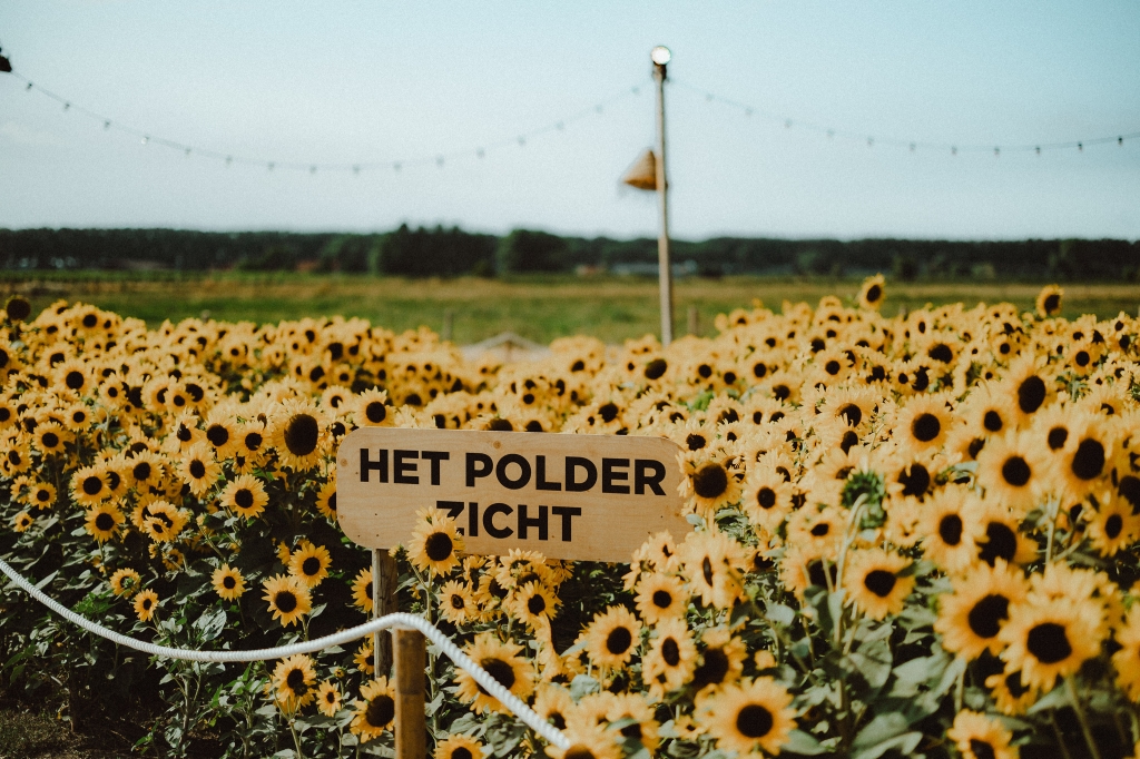 © CPU - Nathan Dobbelaere